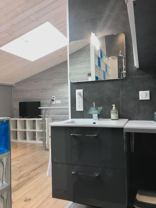 Apartmán Duplex Atypique 20' De Toulouse Leguevin Exteriér fotografie